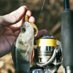 The Benefits of Using a High-Quality Saltwater Fishing Reel